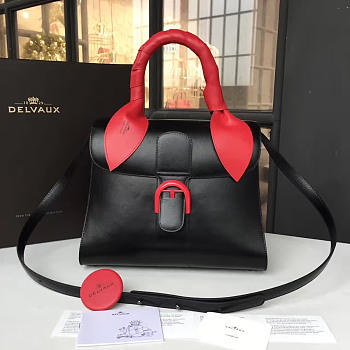 bagsAll Delvaux Sellier Brillant 1496