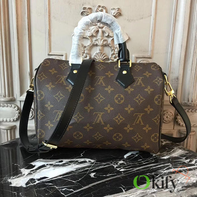 Louis Vuitton Speedy BagsAll 25 Monogram - 1