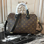 Louis Vuitton Speedy BagsAll 25 Monogram - 1