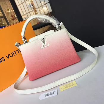 Louis Vuitton CAPUCINES BB 3460 27cm 