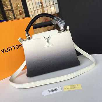 Louis Vuitton CAPUCINES BB 3463 27cm 