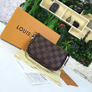 BagsAll Louis Vuitton MINI POCHETTE ACCESSOIRES CHAIN 3586 - 2