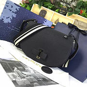bagsAll DELVAUX Calfskin Le Mutin Saddle Bag Black 1507 - 1