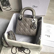 bagsAll Lady Dior Mini Gray/Silver 1552 - 1