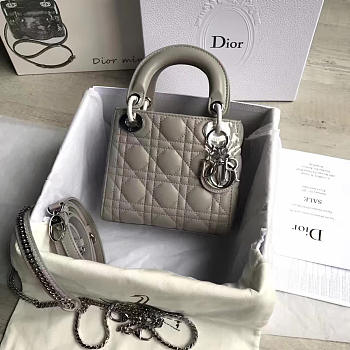 bagsAll Lady Dior Mini Gray/Silver 1552