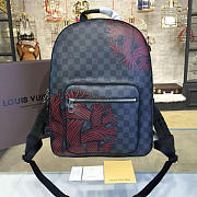 Louis Vuitton Backpack Josh M41530 42cm - 6