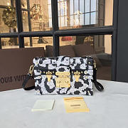 Louis Vuitton PETITE MALLE Box Bag BLACK&WHITE 3574 18cm  - 1