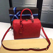  Louis Vuitton Speedy BagsAll 25 Cherry 3814 - 1