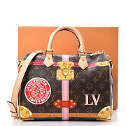 Louis Vuitton Speedy BagsAll 30 Monogram Summer Trunks - 1