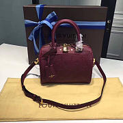 Louis Vuitton Speedy BagsAll 20 Raisin 3819 - 1