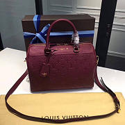 Louis Vuitton Speedy BagsAll 20 Raisin 3819 - 6