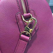 Louis Vuitton Speedy BagsAll 20 Raisin 3819 - 4