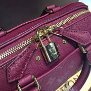 Louis Vuitton Speedy BagsAll 20 Raisin 3819 - 3