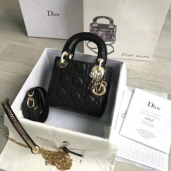 bagsAll Lady Dior mini black