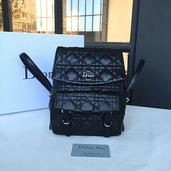 bagsAll Dior backpack Black