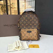 BagsAll Louis Vuitton Palm Springs Backpack PM 37 Monogram M43116 - 2