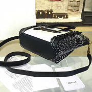 BagsAll Celine Nano Leather Shoulder Bag Z1015 - 5