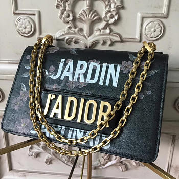 bagsAll Dior Jadior bag 1793