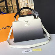 Louis Vuitton CAPUCINES PM 3458 31cm - 1