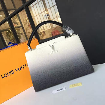Louis Vuitton CAPUCINES MM 3464 36cm 