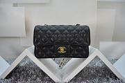 CHANEL Caviar Leather Flap Bag With Gold/Silver Hardware Black 20cm  - 6