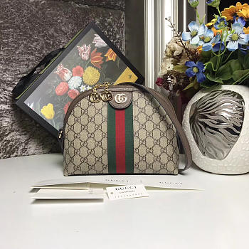 Gucci Ophidia GG 23 Small Shoulder Bag 2628