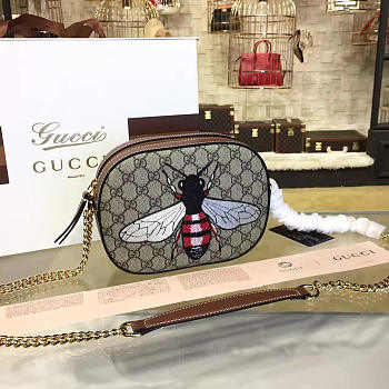 Gucci GG Ophidia Canvas 22 Supreme Mini Chain Bag 2214