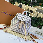 BagsAll Louis Vuitton SPERONE GRAY BB N44026 - 1