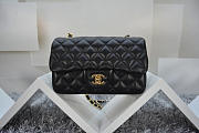 CHANEL Lambskin Leather Flap Bag With Gold/Silver Hardware Black 20cm - 2