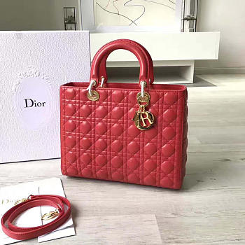 bagsAll Lady Dior Large 31 Red 1565