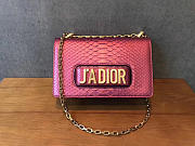 bagsAll Dior JAdior - 1