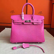 Hermes Birkin Snake leather Pink/ Silver BagsAll Z2930 25cm - 1