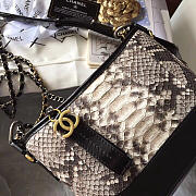 CHANEL'S GABRIELLE Hobo Bag 20 Small Python Pattern - 5
