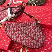 Dior Women Saddle Bag 21 in Red Canvas M0446 - 5