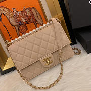 Chanel classic rhomboid cover bag beige AS0585 21cm  - 3