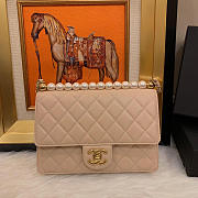 Chanel classic rhomboid cover bag beige AS0585 21cm  - 4