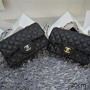 CHANEL Caviar Leather Flap Bag With Gold/Silver Hardware Black 20cm  - 1