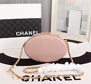 Chanel Whole Cowhide pink 19.5cm - 5