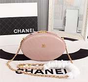 Chanel Whole Cowhide pink 19.5cm - 3