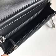 Chanel leboy WOC chain package 19.5cm - 3