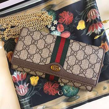 Bagsall Gucci Wallet Mini Bag GG patterns and Web stripes