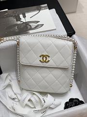 2021 early spring new series pearl chain bag white 20cm - 1