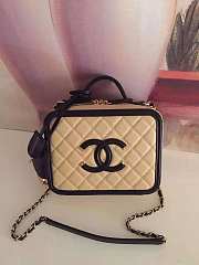 Chanel Chain Vanity Case Black and Beige 21cm - 1