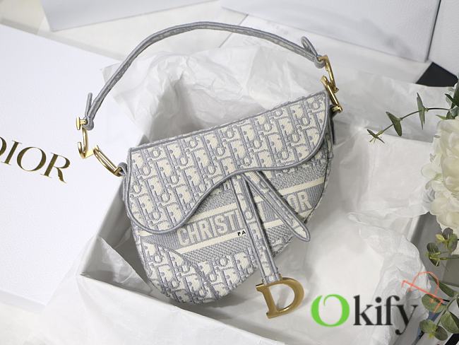 Dior Saddle 25.5 Gray Oblique M9001  - 1