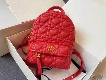 Dior CD Backpack 21 Dioramour Red