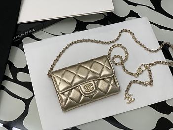 Chanel Original Grained Calfskin 11 Waist Bag Gold 81081