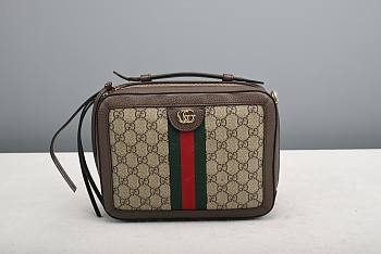Gucci Ophidia GG shoulder bag Style ‎550622 