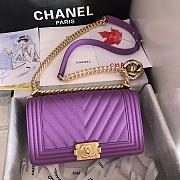 Chanel Le Boy 25 Purple Caviar Gold Buckle 67086 - 1