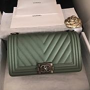 Chanel Le Boy 25 Green Caviar Silver Buckle 67086 - 1