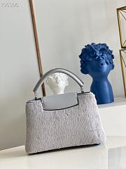 Louis Vuitton Capucines BB 27 Gray Mink Hair M48865  - 3